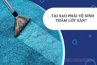Hướng dẫn cách vệ sinh thảm lót sàn đơn giản, hiệu quả