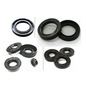 Bộ phớt máy rửa xe gia đình mini