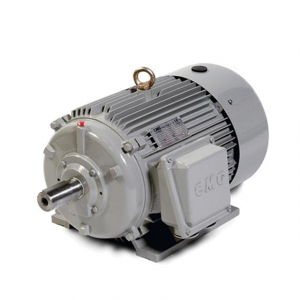 Motor cho máy rửa xe 3kW