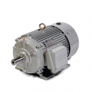 Motor cho máy rửa xe 7,5kW