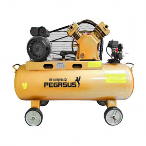Máy nén khí Pegasus TM-V-0.17/8-180L