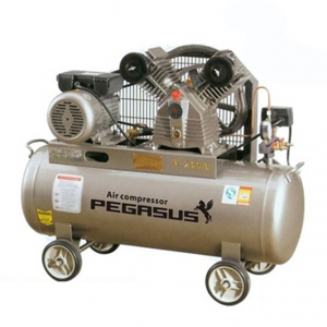 Máy nén khí Pegasus TM-V-0.25/8-120L