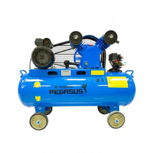Máy nén khí Pegasus TM-V-0.25/8-70L