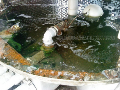 Cách xử lý và biện pháp phòng ngừa rong rêu tháp giải nhiệt