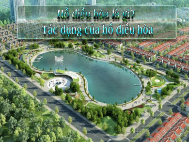 Hồ điều hòa là gì? Ý nghĩa và tác dụng của hồ điều hòa