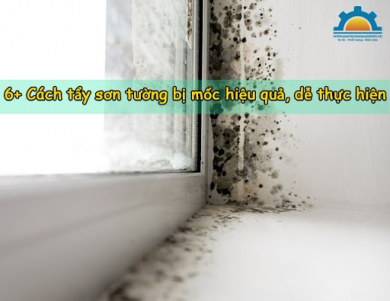 6+ Cách tẩy sơn tường bị mốc hiệu quả, dễ thực hiện