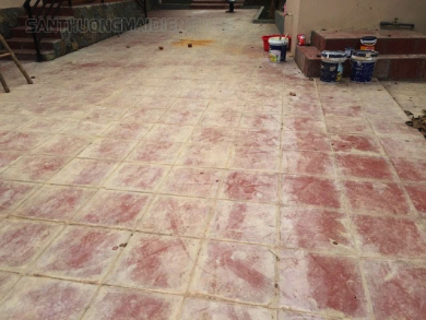 Cách xử lý gạch tàu bị mốc đơn giản và siêu hiệu quả