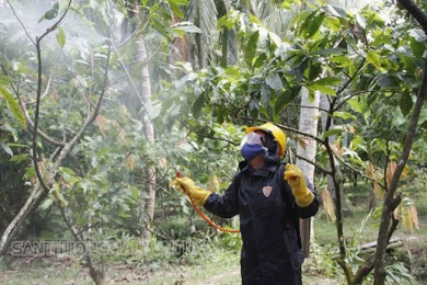 Có nên sử dụng máy rửa xe phun thuốc sâu hay không?