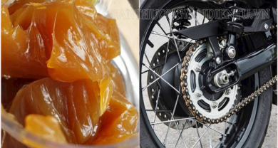 [Giải đáp] Có nên dùng mỡ bò bôi trơn sên không?