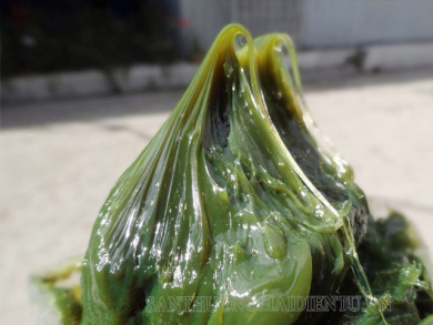 Tổng hợp thông tin về mỡ bò xanh