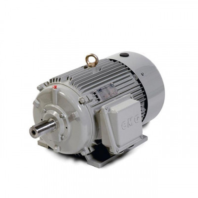 Motor cho máy rửa xe 5,5kW