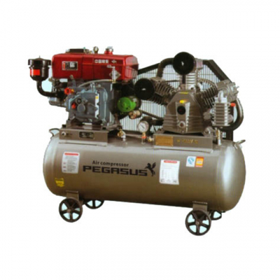 Máy nén khí chạy dầu Pegasus TM-W-1.6/12.5-500L