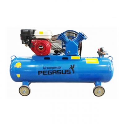 Máy nén khí đầu nổ chạy xăng Pegasus TM-V-0.25/8-100L