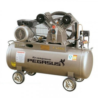 Máy nén khí Pegasus TM-V-0.36/8-330L