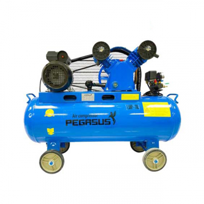 Máy nén khí Pegasus TM-V-0.25/8-70L