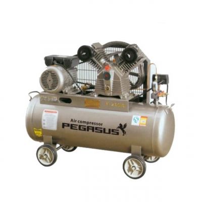 Máy nén khí Pegasus TM-W-1.6/10-500L