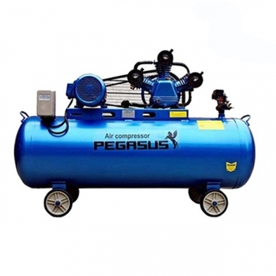 Máy nén khí Pegasus TM-W-2.0/10-500L