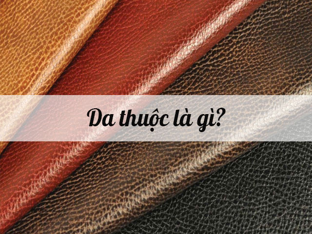 Da thuộc là gì? Tổng hợp các kiến thức về da thuộc
