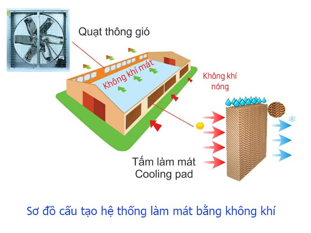 Sơ đồ cấu tạo hệ thống làm mát bằng không khí