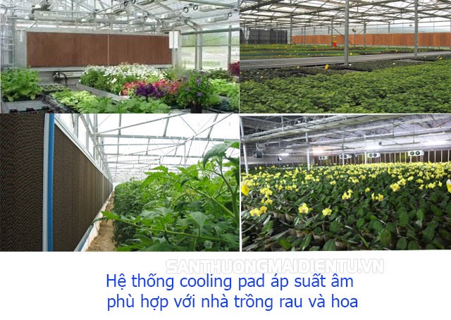 hệ thống làm mát bằng không khí