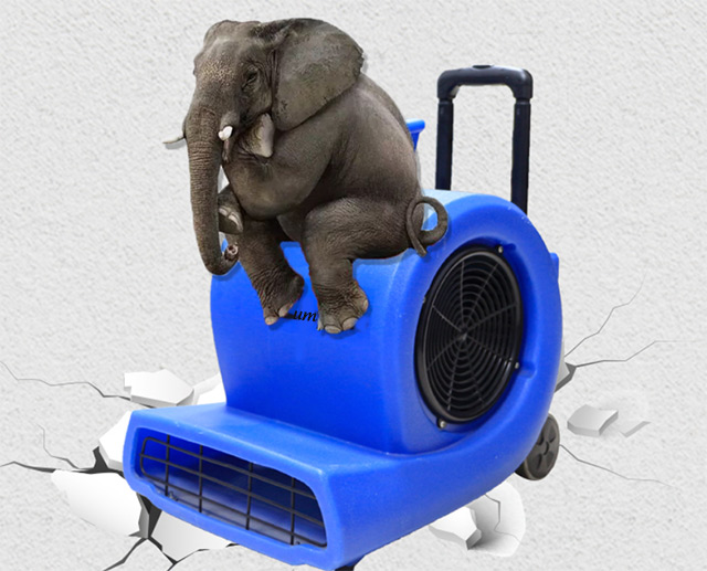 quạt sấy thảm KUMISAI KMS 900