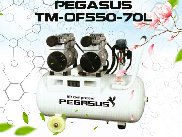 Máy nén khí Pegasus TM-OF550-70L