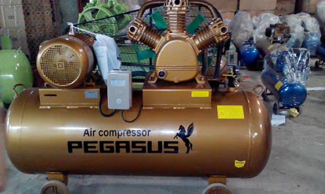 máy nén không khí Pegasus TM-W-0.9/8-330L