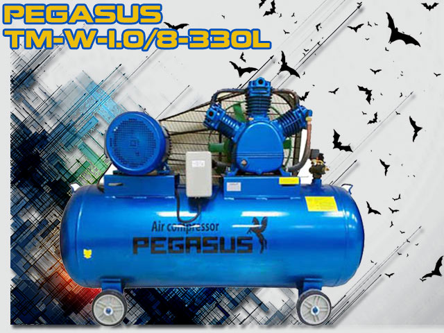 Máy nén khí Pegasus TM-W-1.0/8-330L