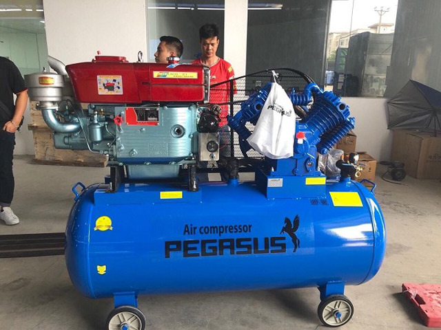 Máy nén khí Pegasus 500L