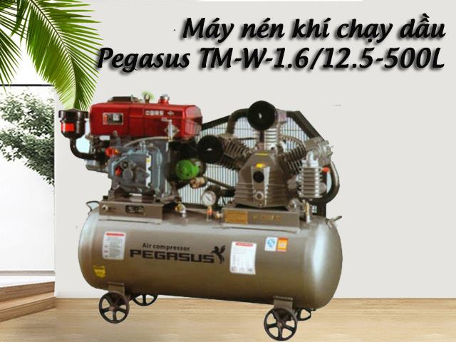 Máy nén khí chạy dầu Pegasus TM-W-1.6/12.5-500L