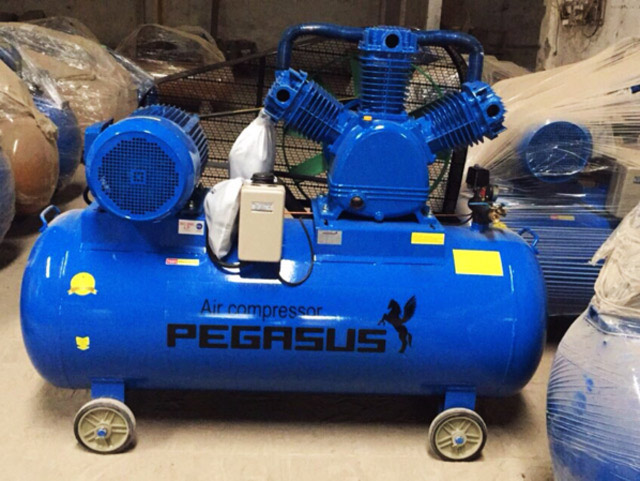 Máy nén khí Pegasus TM-W-0.36/8-180L