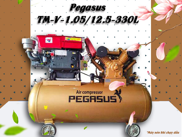 Máy nén khí chạy dầu Pegasus TM-V-1.05/12.5-330L