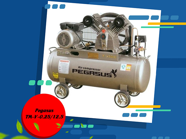 Máy nén khí Pegasus TM-V-0.25/12.5-120L