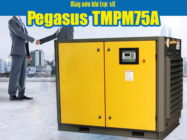 Máy nén khí trục vít Pegasus TMPM75A