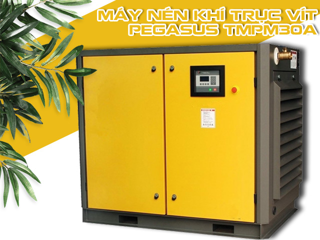 Máy nén khí trục vít Pegasus TMPM30A