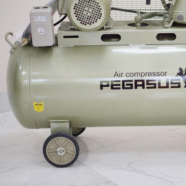 Máy nén khí Pegasus TM-V-0.36/8-230L