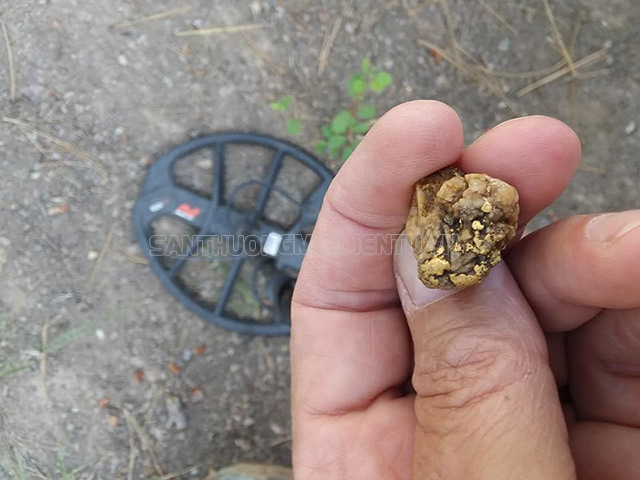 Máy phát hiện cả những cốm vàng nhỏ bị che lấp bởi đá