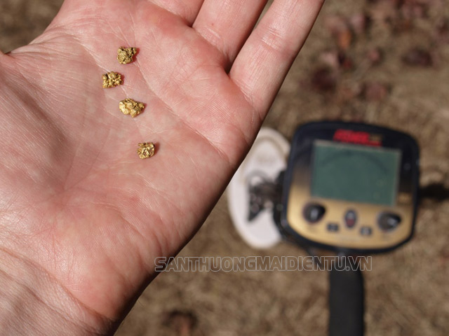 Những cốm vàng siêu nhỏ được tìm thấy