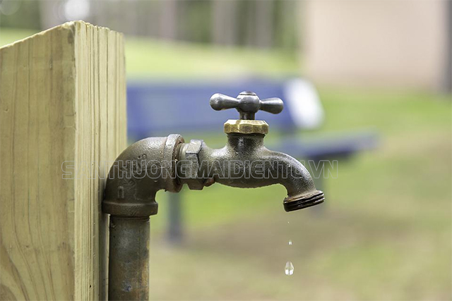 Nguồn nước cung cấp đầu vào gặp vấn đề